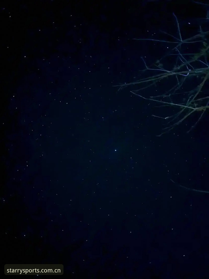 如何快速完成星空体育登录？实战派三步法助你畅享赛事数据